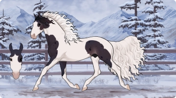 Thumbnail for 7869 KV ThisIsHowIRoll