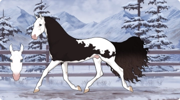 Thumbnail for 7920 NLR Conquer of the Sky