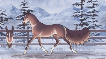 Thumbnail for 7990 SWA She Shall Be The King