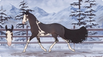 Thumbnail for 7997 Amarula