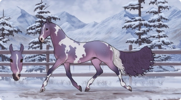 Thumbnail for 8010 PPC Crown Royal