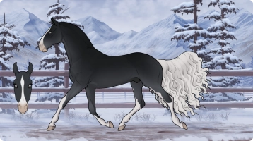 Thumbnail of 1999 RPH Baltic Ballad