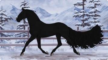 Thumbnail of 2051 LLywelyn