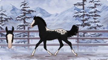 Thumbnail of 2102 Once Upon A December