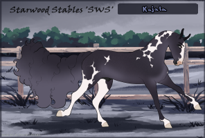 Thumbnail image for 5679 SWS Kajala