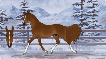 Thumbnail for 8854 RWS A Cool Cat