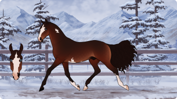 Thumbnail image for 8855