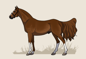 Thumbnail for 8854 RWS A Cool Cat