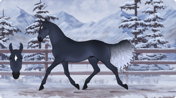 Thumbnail for 8334 SNS Moon Boots