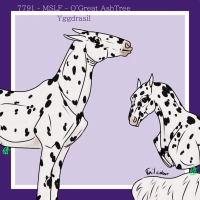 Thumbnail for 7791 PF Connect the Dots