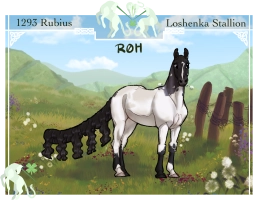 Thumbnail of 1293 Rubius