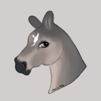 Thumbnail for 8464 Mr. Saltwater Taffy