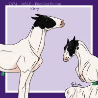 Thumbnail for 7674 MSLF Familiar Feline