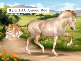 Thumbnail for 8441 LAU Queen Bee