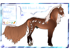 7462 BB Hazel-Rah Thumbnail