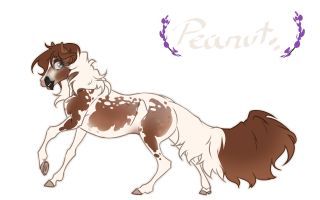 Thumbnail of 8860 Peanut