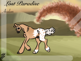 Thumbnail for 6079 Lost Paradise