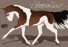 Thumbnail for 8888 Adrenaline