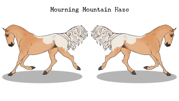 Thumbnail for 3450 CLH Running into the Sun