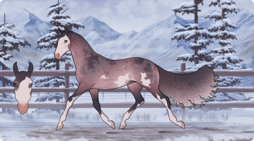 Thumbnail for 8941 CMA Sweet Dreams