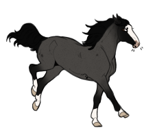 Thumbnail for 5683 Dust Bunny