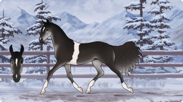 Thumbnail for 8958 EV Sun on the Snow