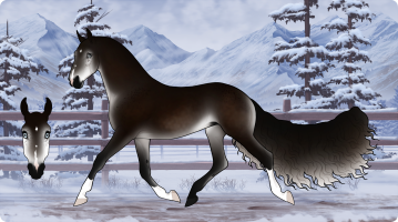 Thumbnail for 6676 JSS Polar Night