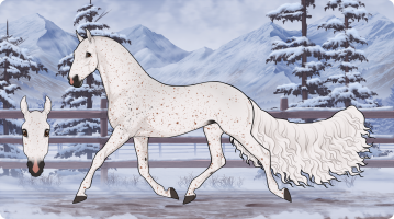 Thumbnail for 7968 MF Like No Other