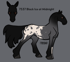 Thumbnail of 7537 Black Ice at Midnight