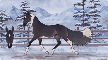 Thumbnail for 8984 EM’s Nocturna