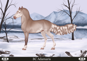 Thumbnail for 7000 JSS Iris