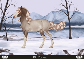 Thumbnail of 7295 Corvair