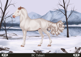 Thumbnail for 6563 ML Queso Cheese