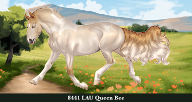 Thumbnail for 8441 LAU Queen Bee