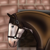 Thumbnail of 7445 Dipped in Chocolate