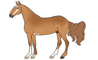 Thumbnail for 2900 SMA's Sprinkle of Ginger