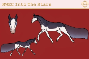 Thumbnail for 8004 MWEC Into The Stars