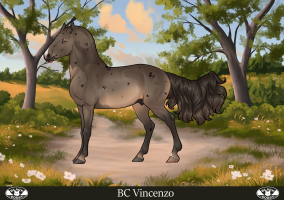 Thumbnail of 6561 Vincenzo