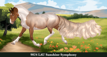 Thumbnail of 9024 LAU Sunshine Symphony