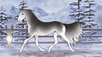 Thumbnail for 9037 Lakeside's Lady Gray