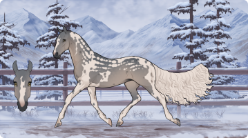 Thumbnail for 9040 Midnight Sonata