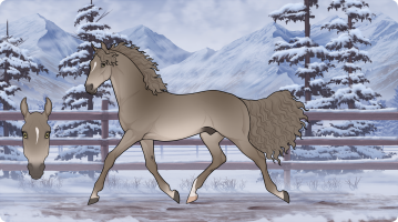 Thumbnail for 9116 Grey Warden GCR