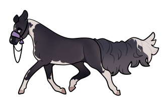 Thumbnail for 8984 EM’s Nocturna