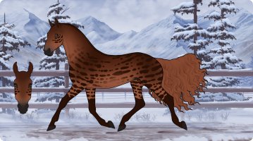 Thumbnail for 9130 LH Crimson Flicker
