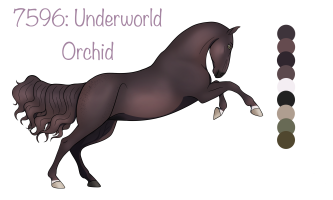 Thumbnail of 7596 Underworld Orchid