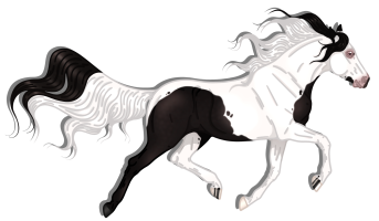 Thumbnail of 1062 JSS Dreaming of Her