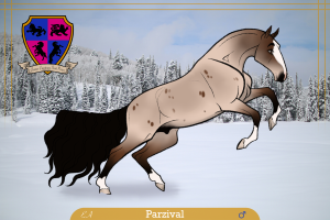 Thumbnail of 0574 Parzival