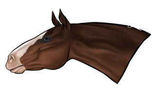 1572 KRS Golden Eclipse Thumbnail