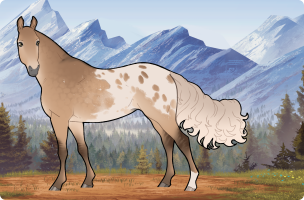 Thumbnail of 0181 Alfieri