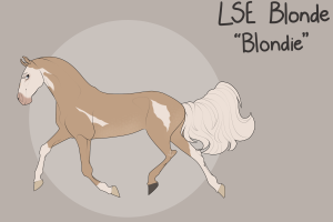 Thumbnail for 9096 LSE Blonde